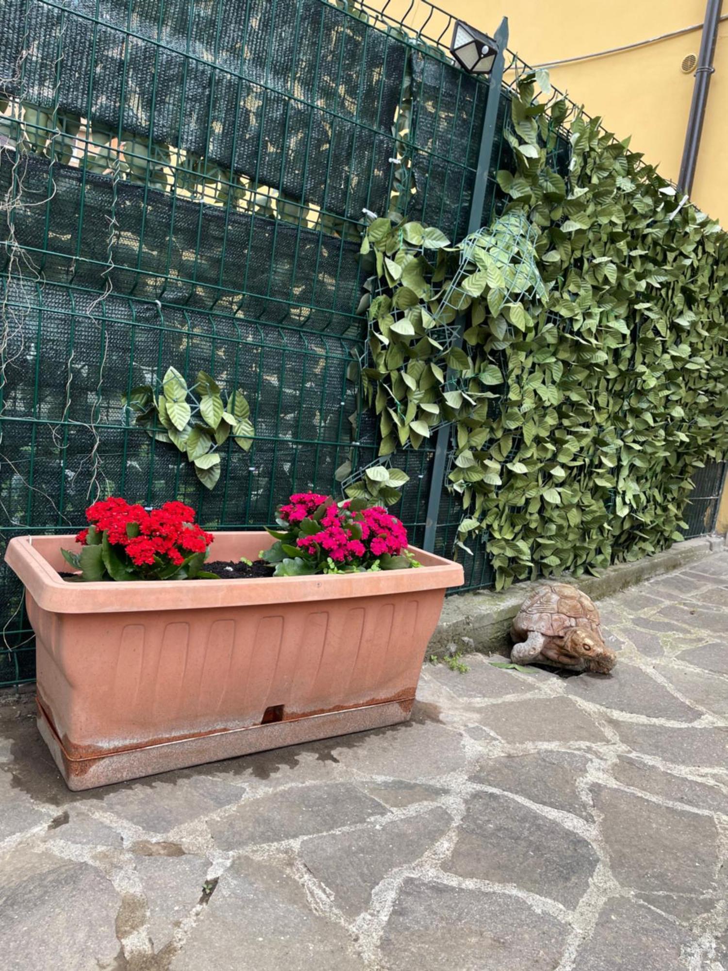 Appiolatino - Il Fenicottero * Rom